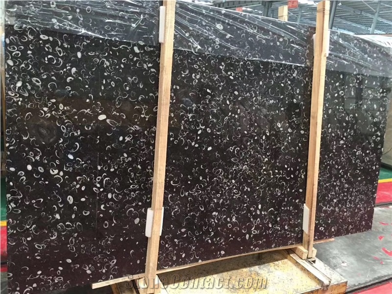 Black Fossil Marble Slab,Black Shell Marble Tile