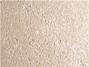 Amarillo Fossil Sandstone Tiles, Arenisca Fossil