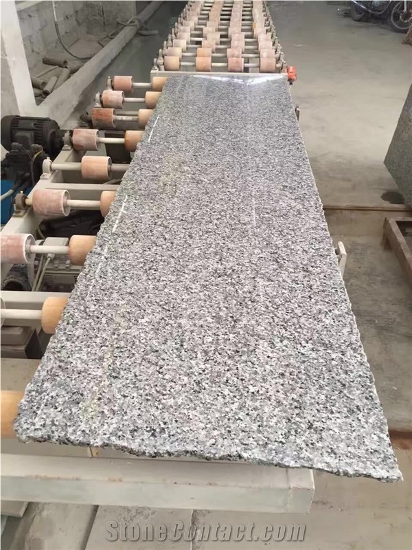 Chinese Swan Blue Granite for Floor Paving Grey