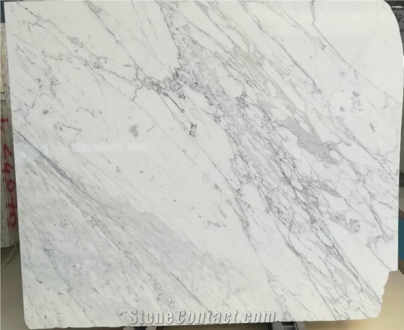Snow White Marble Floor Wall Covering Tiles Slab
