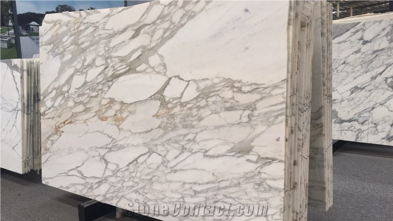 Snow White Marble White Marble Slabs Tile Italy