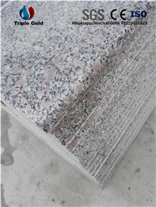 G383 Pearl Flower Granite Flooring Application