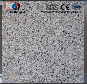 G383 Pearl Flower Granite Wall Tiles Installation