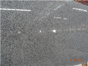 China Light Grey G603 Granite Tiles/Slabs