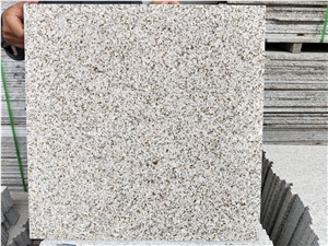 China Rusty Yellow G682 Granite Tiles/Slabs