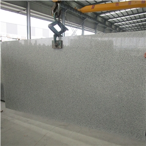 China Light Grey Granite G603 Polished Slabs