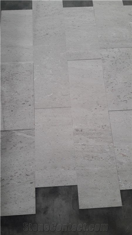 Ojinaga Limestone Slabs Tile