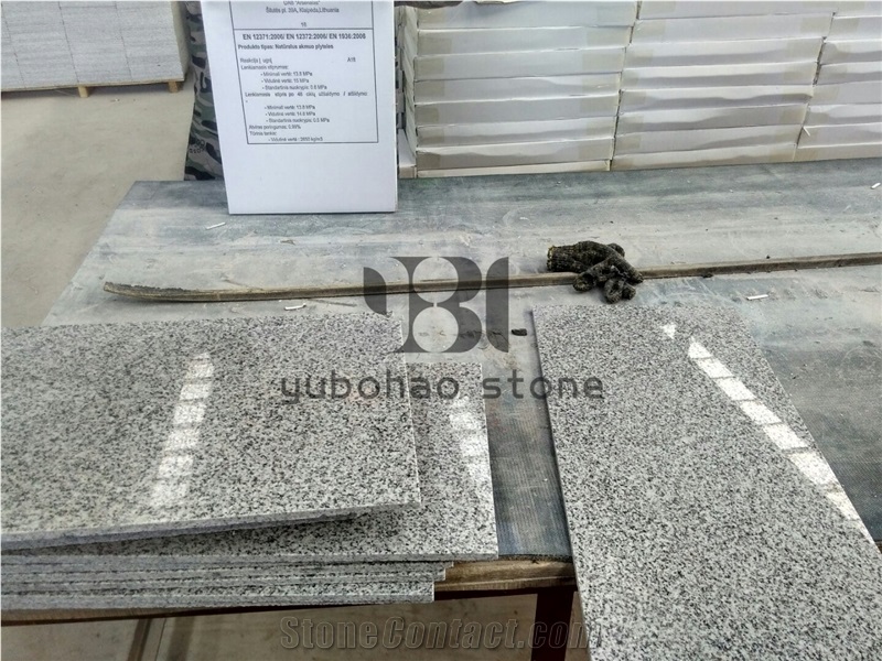China Light Grey New G603 Gangsaw Granite Slabs