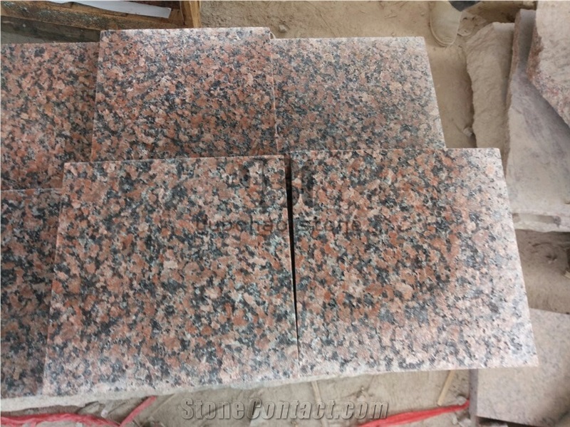Popular Granite G562 Maple Red Floor Paver