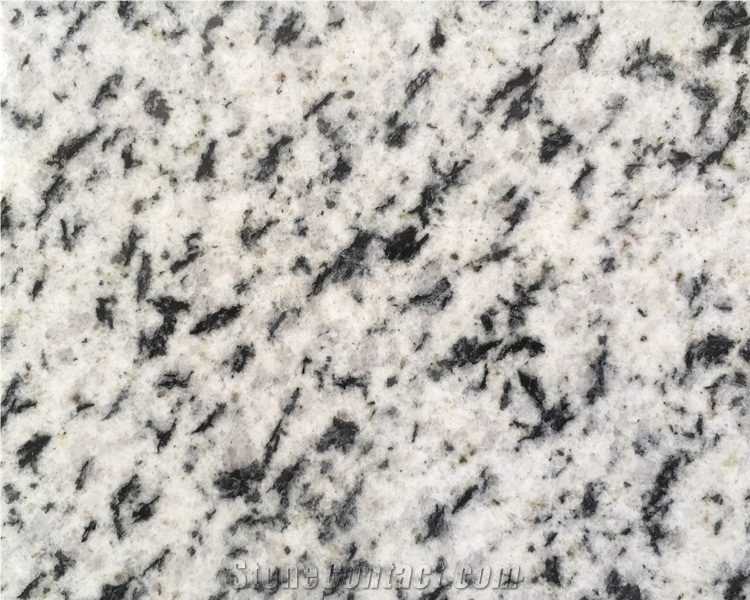 Bianco Alaky Granite Slab