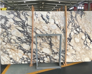 Black Veins Gold Arabescato Marble Slabs