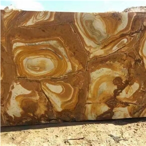 Gold Palomino Quartzite Slab