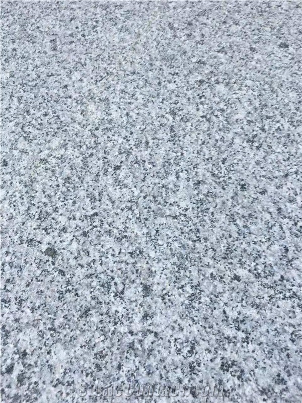 Honed China G654 Granite Slab Flooring Tiles