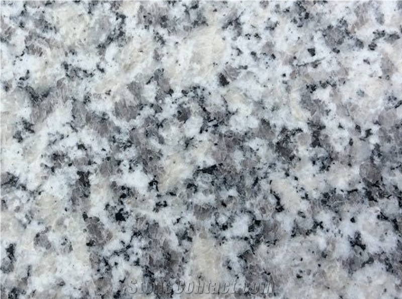 Honed China Hubei Bianco Sardo Granite Floor Tile