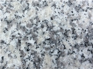 Honed China New Bianco Sardo Granite Slab and Tile