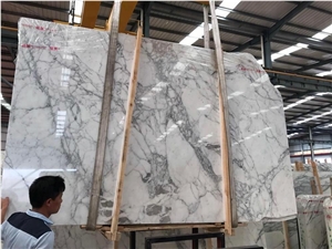 Italy White Arabescato Arini Marble Wall Slabs