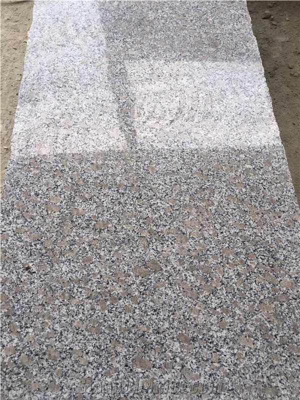 Polished China G383 Granite Slab and Floor Tile