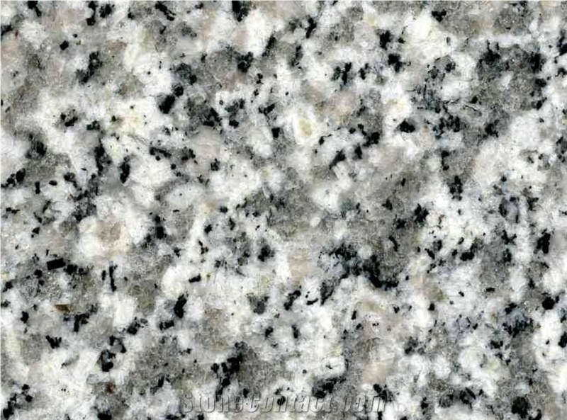 Polished China Snow Grey Granite Slab and Tiles