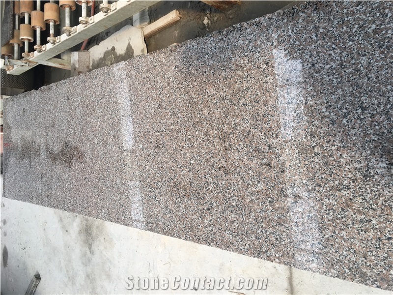 Polished China Violet Luoyuan Granite Slab Tile
