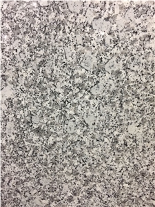 Surprising Cheap Price- White Granite