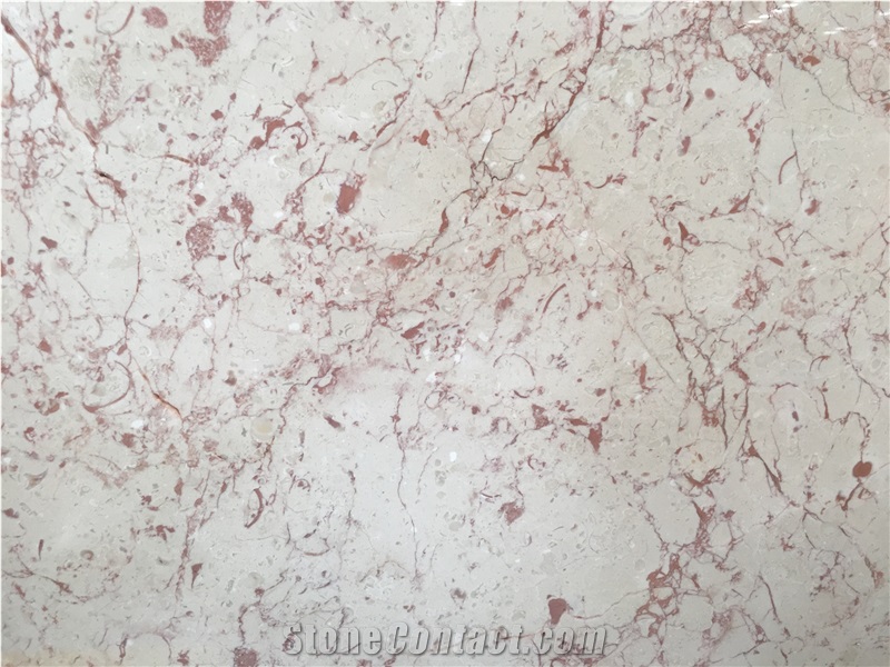 Whosale Cheap Shell Beige Marble Slabs Price