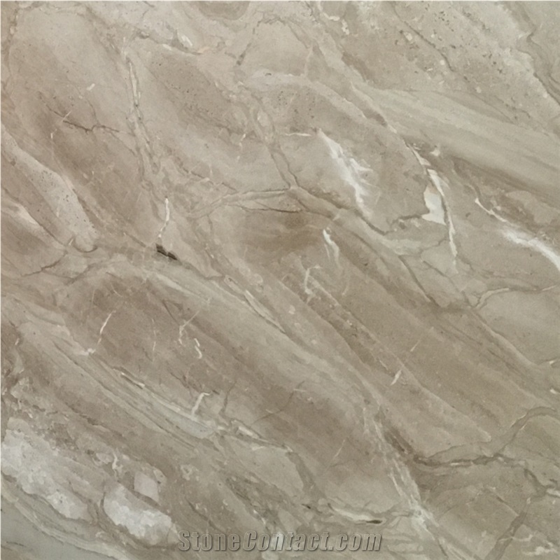 Whosale Polished Dino Beige Marble Slabs Price