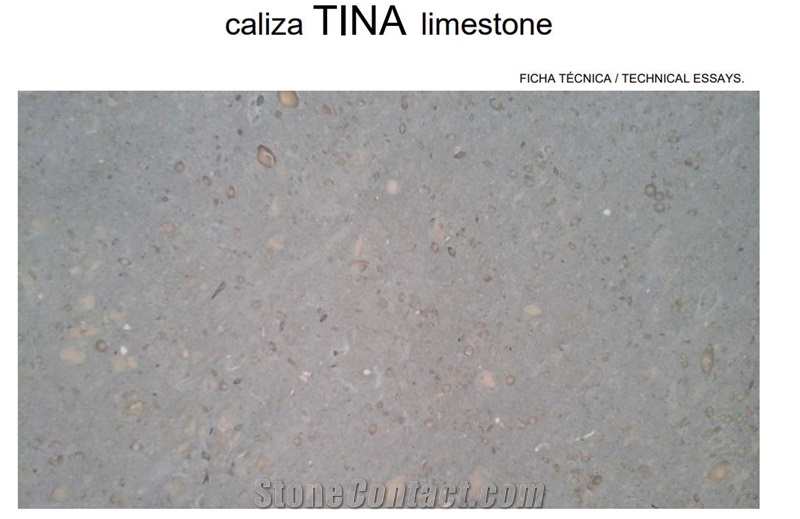 Caliza Tina Limestone Polished Floor, Flamed Wall