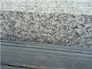 Speckled White Granite Slabs