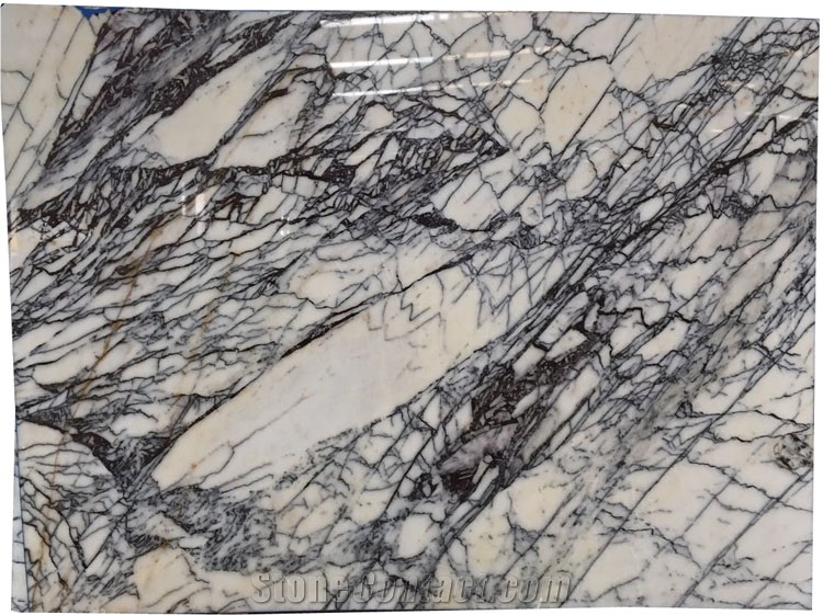 Milas Lilac White Marble With Black Veins