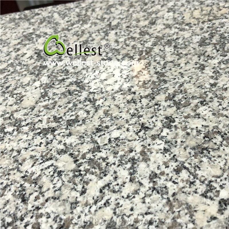 Chinese Cheap Granite Grey Sardo G602 Slab Tile