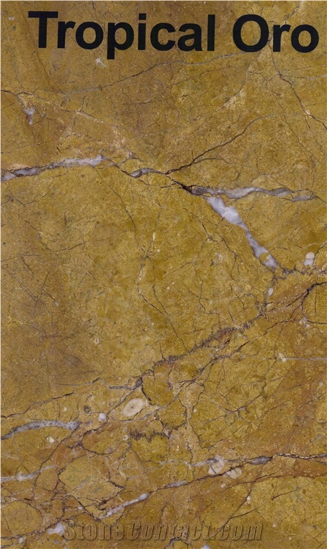 Tropical Oro Marble