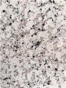 Bala White Granite Slabs