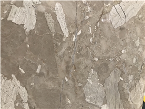 Best Grey Fossil Marble Stone Shower Walls