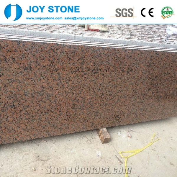 Cheap Price Polished G562 Maple Red Granite Slabs
