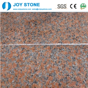 China Charme Red G562 Granite Polished Wall Tiles