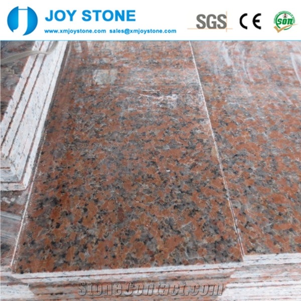 G562 China Maple Red Granite Slabs for Sale