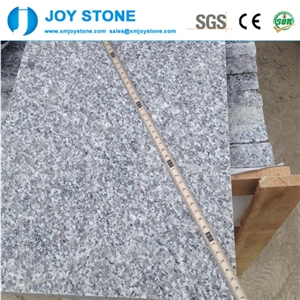 Gray Granite G623 Slabs for Wall Flooring Tiles