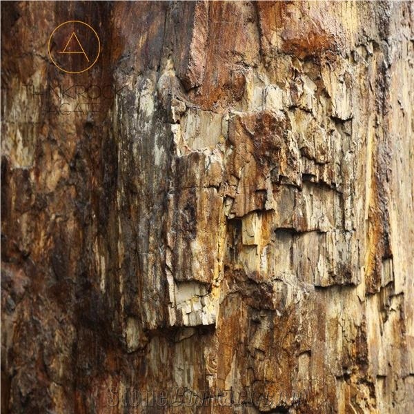 Petrified Wood Dark Brown Semi-Precious Stone Slab
