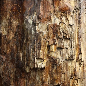 Petrified Wood Dark Brown Semi-Precious Stone Slab