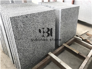 Cheap Chinese Grey Granite G602,Polished Staircase