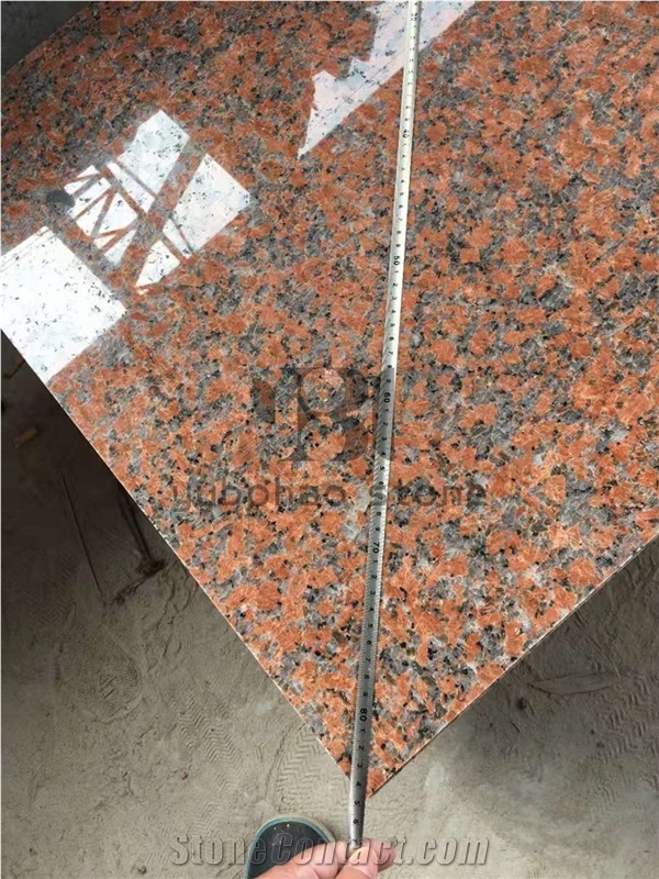 New Popular G562 Granite Brushed for Paving/Wall