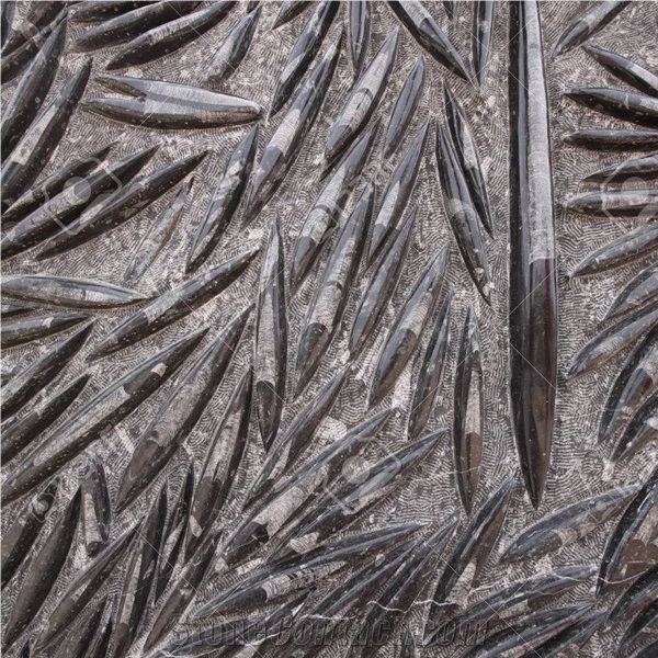 Natural Morocco Black Marble