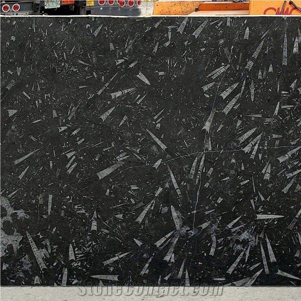 Natural Morocco Black Marble