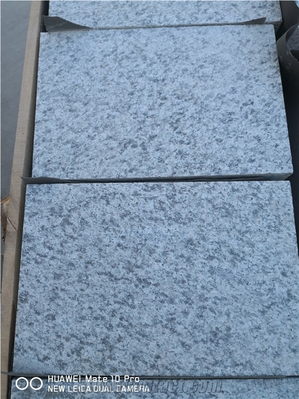 Polished China Bianco Sardo Granite Floor Tile