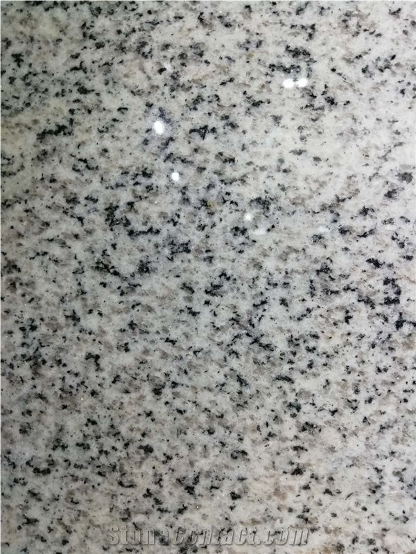 Polished China Hb G603 Granite Tombstone