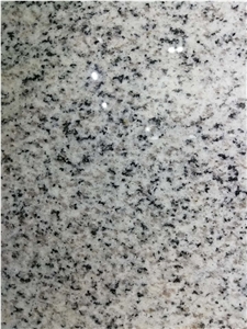 Polished China Hb G603 Granite Tombstone