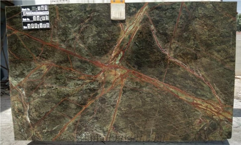 Rain Forest Green Indian Marble Slabs & Tiles