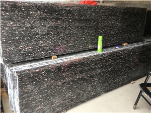 Black Night Granite with Red Tadpole Slabs Tiles