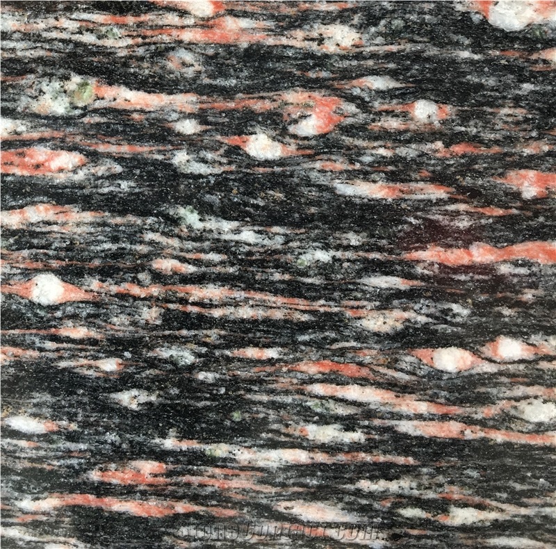 Black Night Granite with Red Tadpole Slabs Tiles