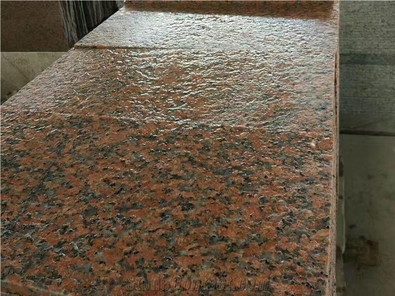 G561 Maple Red Granite Slabs Wall Flooring Tiles